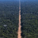 Governo abre edital de R$ 670 mi para asfaltar BR-319.