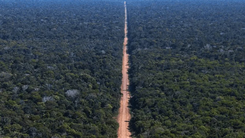 Governo abre edital de R$ 670 mi para asfaltar BR-319.